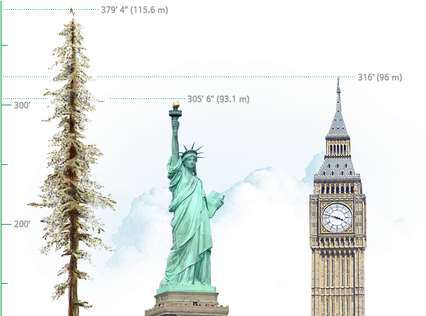 Comparación De Hyperion Respecto A La Estatua De La - Statue Of Liberty (630x449), Png Download