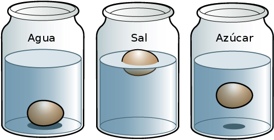 Observa Que El Huevo Se Hunde - Experimentos De Los Estados De La Materia (603x296), Png Download