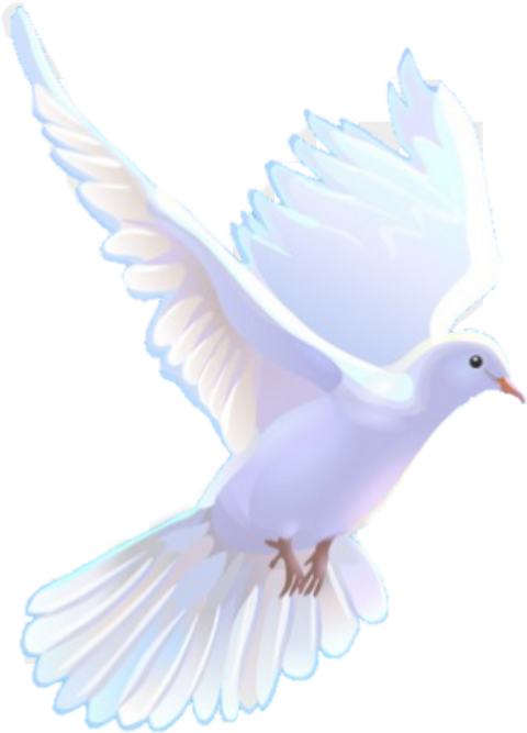 Las Quejas Del Espiritu Santo: Este Es Un Libro Acerca (480x667), Png Download