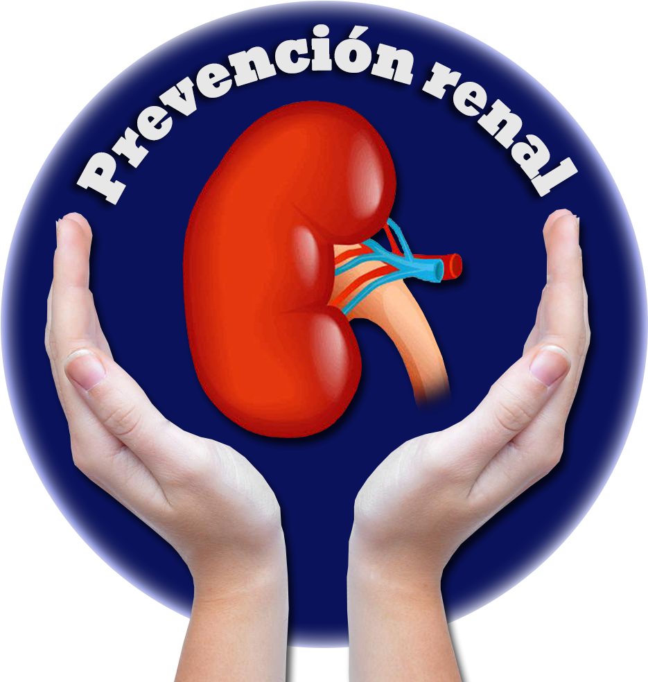 Prevencion Renal (1079x1046), Png Download