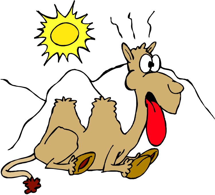 Heat Wave Coming - Custom Hot Camel Mugs (750x682), Png Download