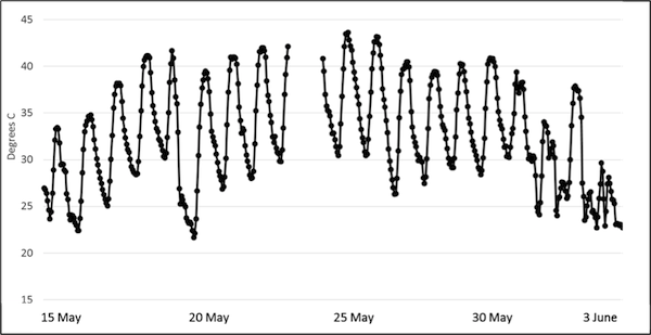 Hourly Data From The Punjabi Bagh Station In New Delhi - Human Adaptation In Delhi (600x309), Png Download