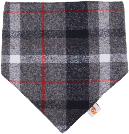 Smart Bottoms Bandana Bib - Scarf (435x450), Png Download