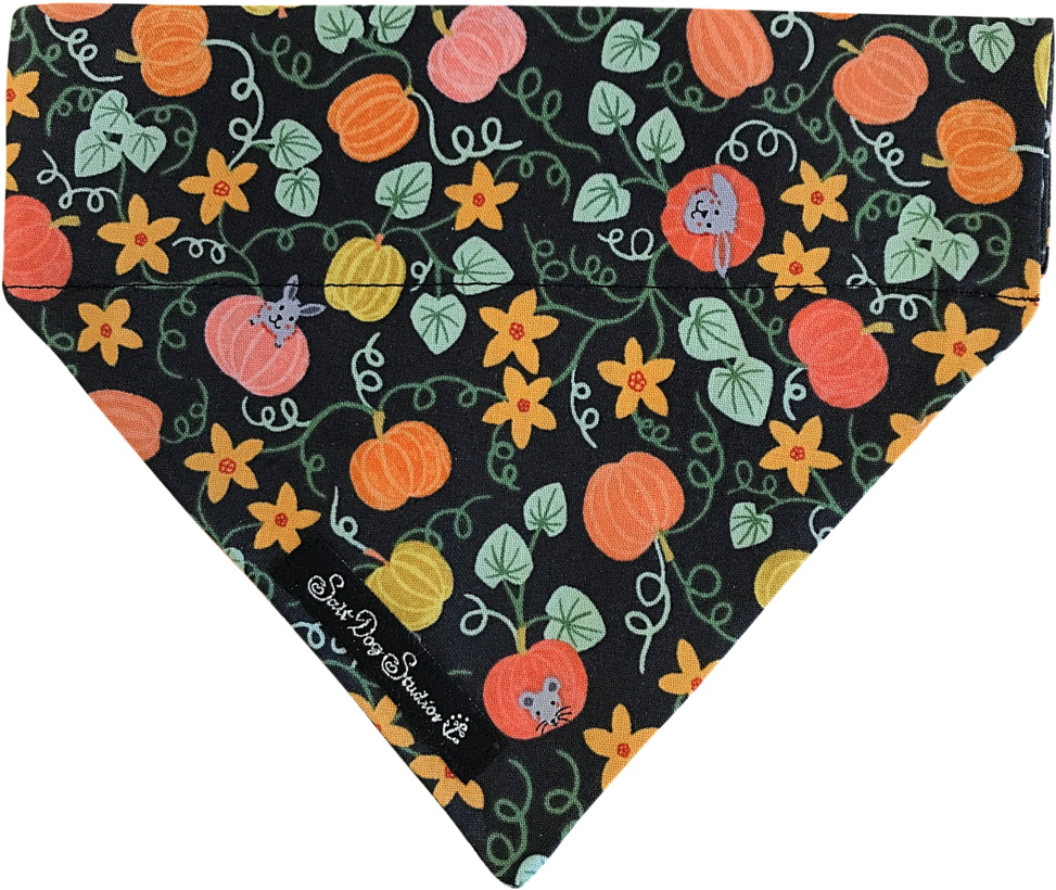 Image - Pumpkin (1280x960), Png Download