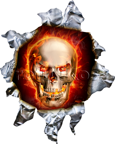 Skull (400x500), Png Download