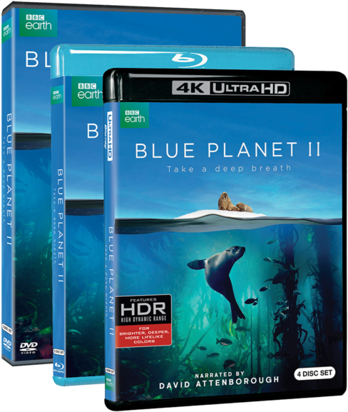 Blue Planet Ii - Blue Planet 2 Blu Ray (516x600), Png Download