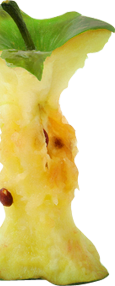 Bigapplecorecopy - Fruit (376x935), Png Download