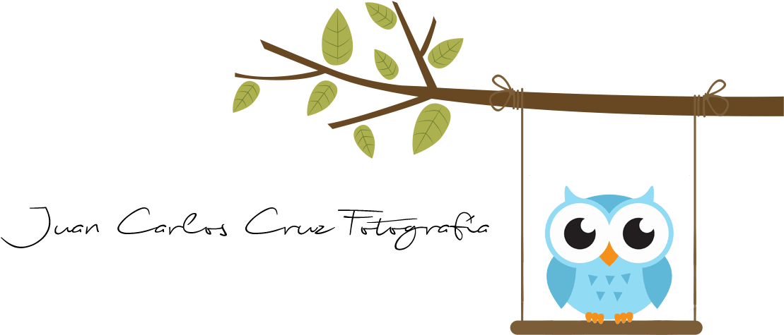 Juan Carlos Cruz Fotografía - Custom Tote Bag - Cute Blue Cartoon Baby Owl Tote Bags (1118x492), Png Download