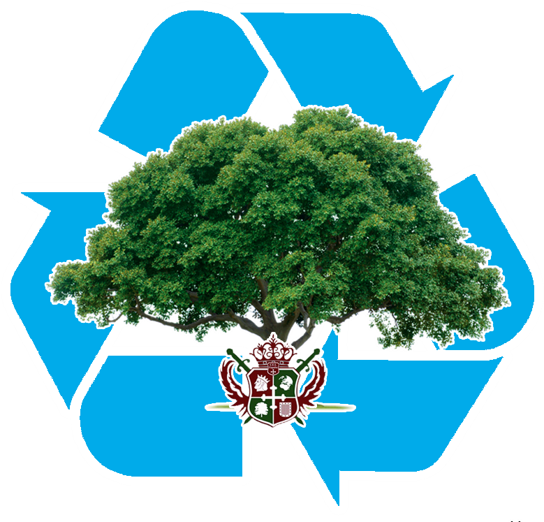 View Larger Image - Trees Our Green Friends (791x763), Png Download
