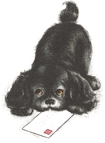 Pet (427x579), Png Download