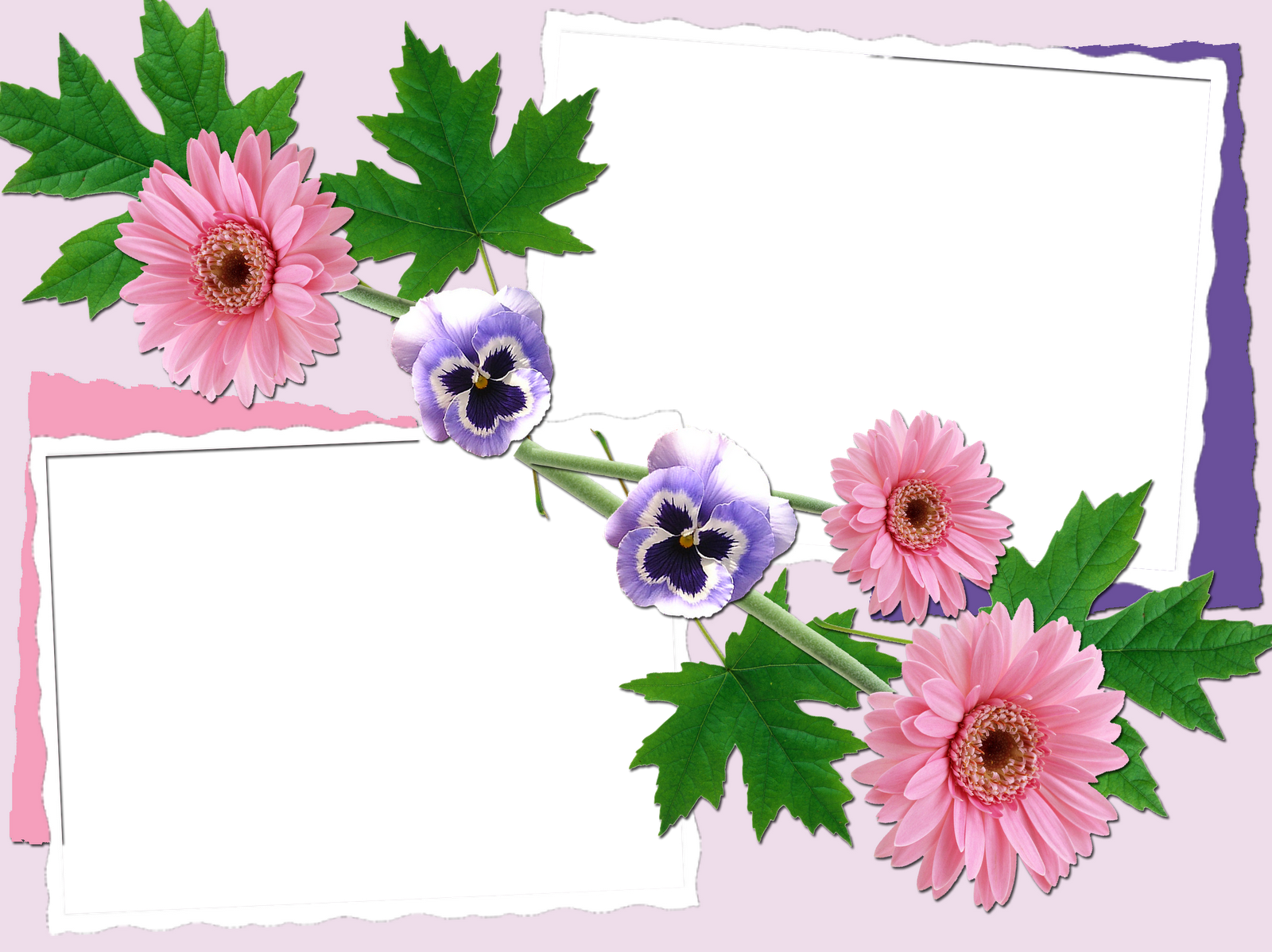 Marcos Para Fotos Con Flores - Beautiful Flowers Photo Frames (1600x1198), Png Download