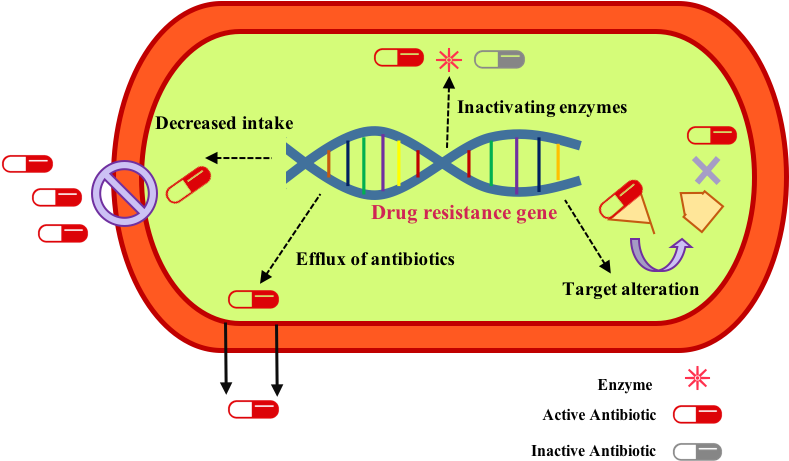 Antimicrobial Resistance Mechanism Logo (790x468), Png Download