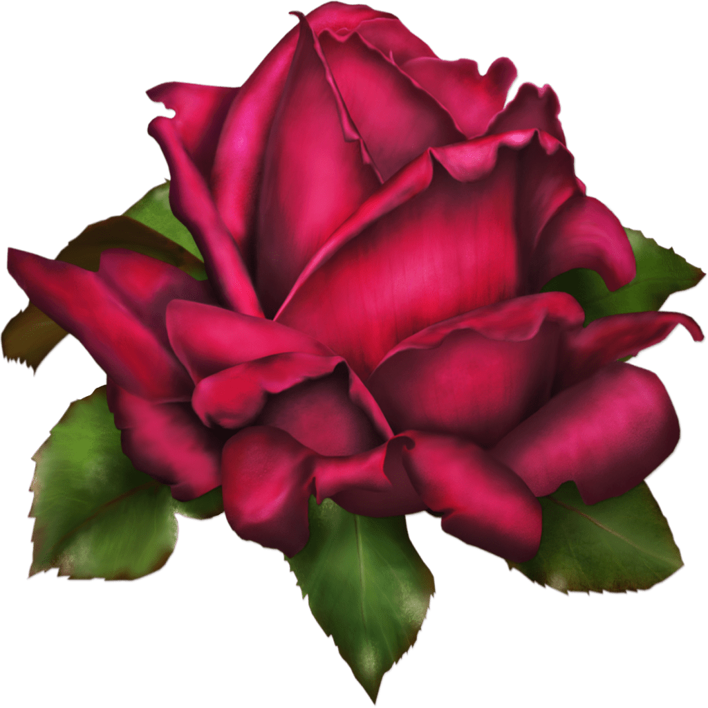 Purple Roses Png (1024x1024), Png Download