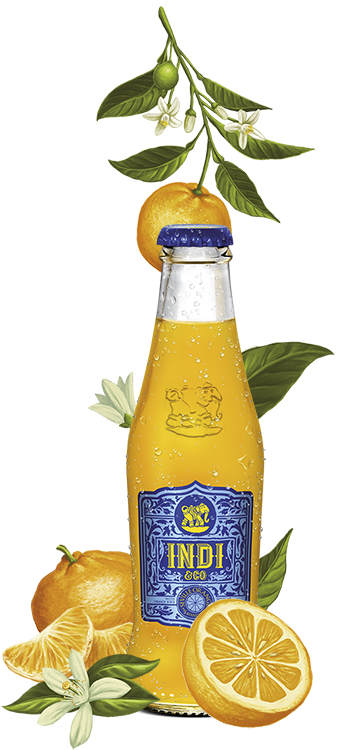 Indi & Co Seville Orange Juice 200ml Nrb (382x750), Png Download
