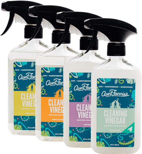 Aunt Fannies Cleaning Vinegar - Aunt Fannie's Cleaning Vinegar (600x540), Png Download