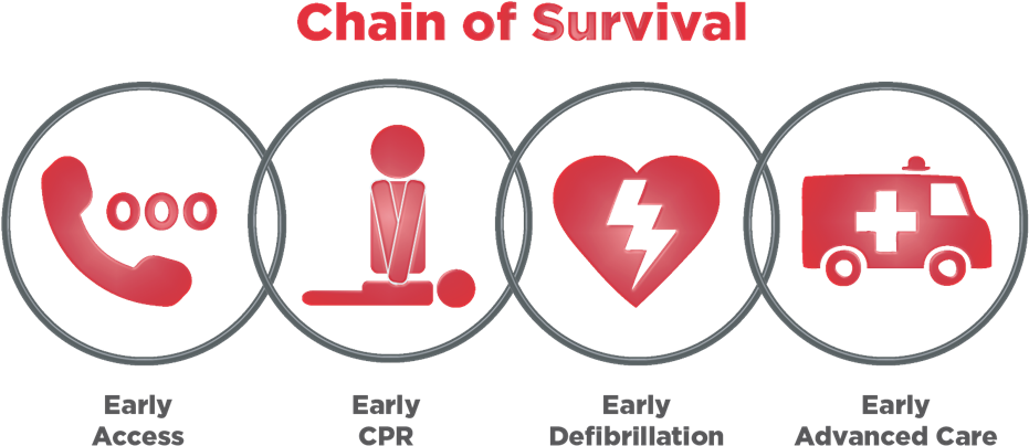 Chain Of Survival 2017 (1024x462), Png Download