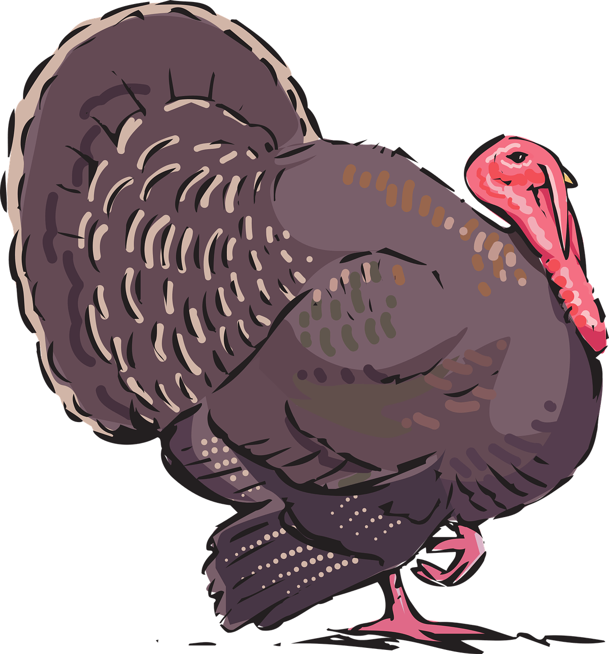 Happy Thanksgiving - Author (1192x1280), Png Download