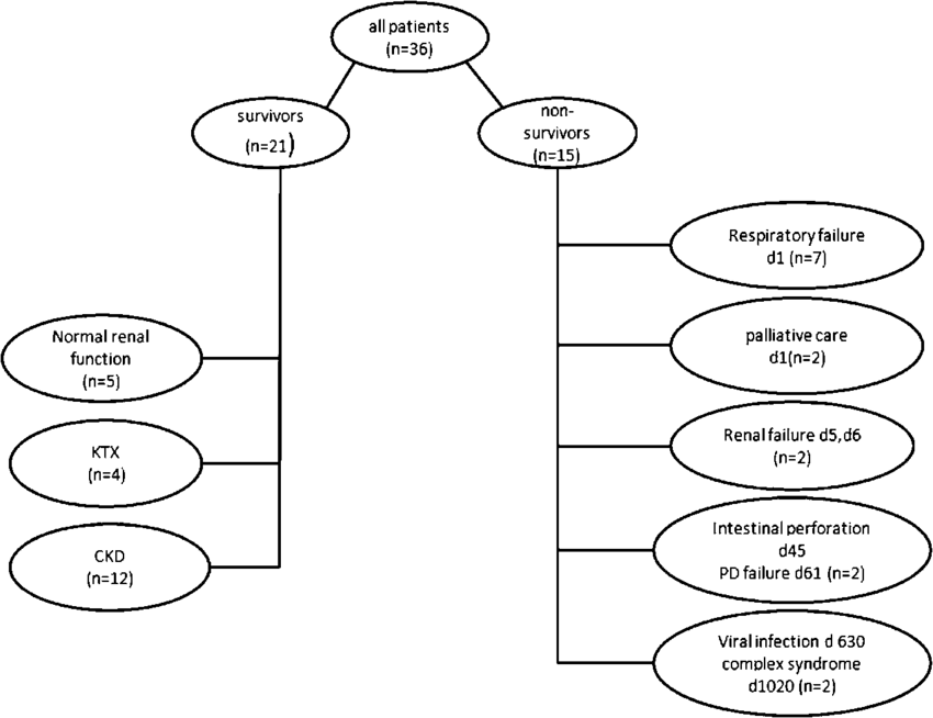 Schematic Representation Of Survival In Patients With - Diagram (850x654), Png Download