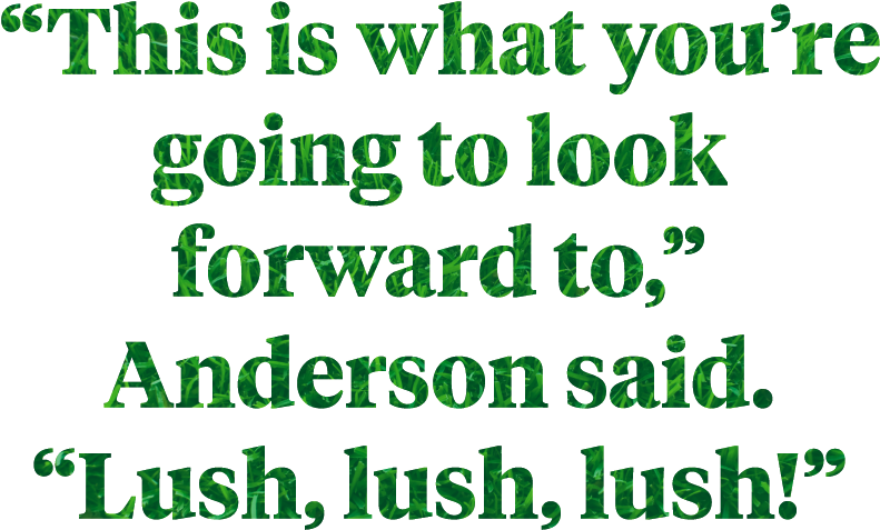 Beverly Hills' Most Verdant Estates Have Been Paraded - Bank Holiday (1000x596), Png Download