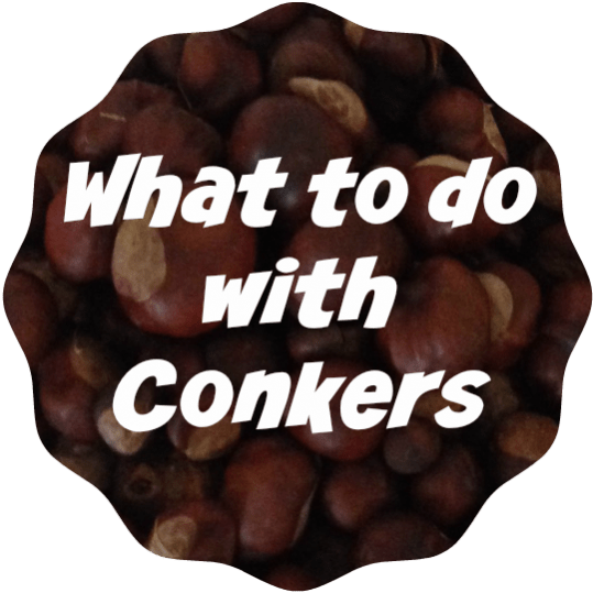 What To Do With Conkers - Chocolate (550x550), Png Download