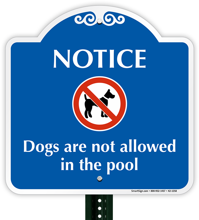 Download No Dogs Allowed In The Pool Full Size PNG Image PNGkit