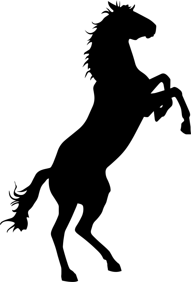 Horse Vector Png - Bronco Horse (666x982), Png Download