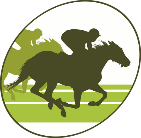 Silhouette Horse Racing Png (480x469), Png Download