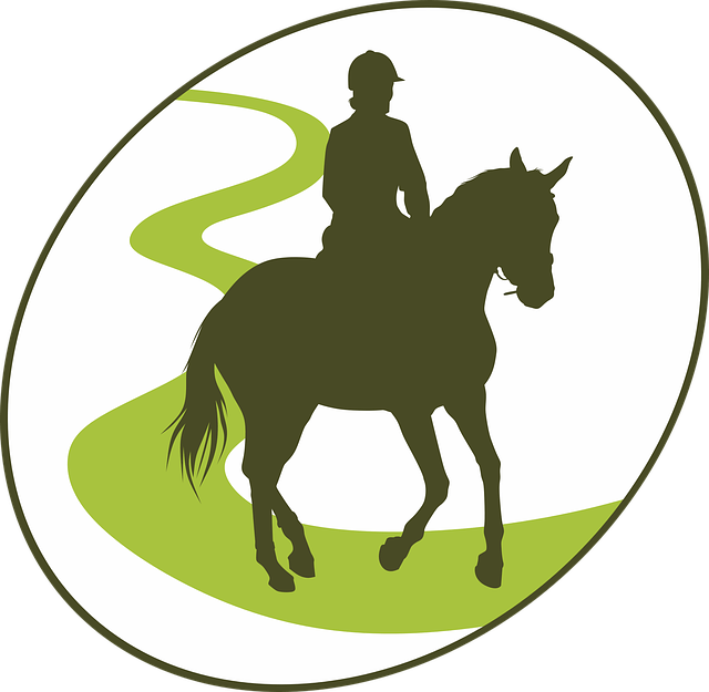 Randonnée À Cheval Logo (480x469), Png Download