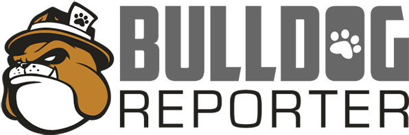 How Target, Macy's And Kohl's Are Driving Consumer - Bulldog Reporter Logo (600x400), Png Download