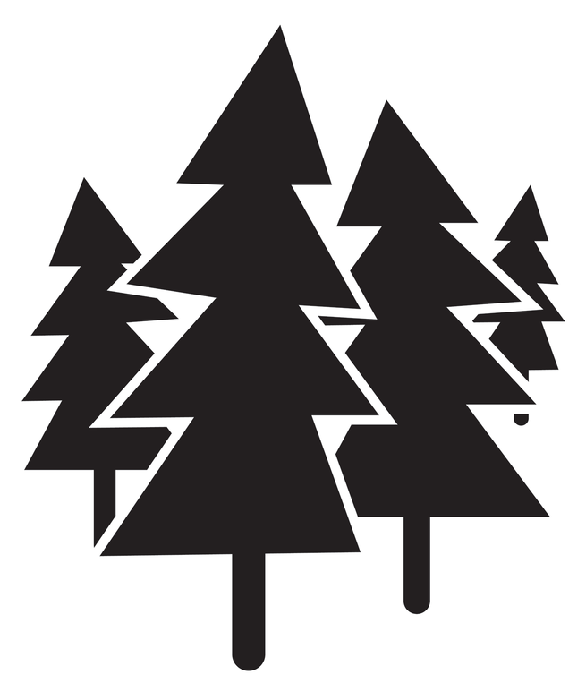 Forest Tree Icon Png (692x800), Png Download