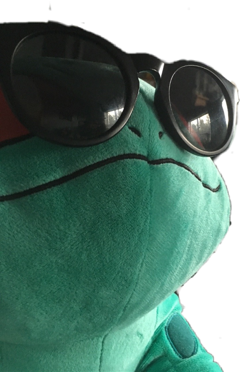 Squirtle (480x743), Png Download