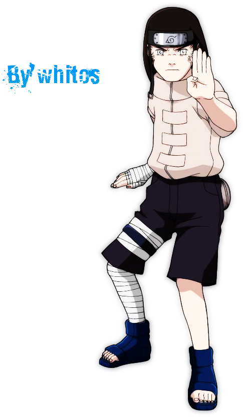 Image And Video Hosting By Tinypic - Naruto Hyūga Neji 1st Cosplay Costumes (576x890), Png Download