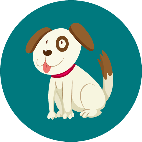 Walter Is A Border Collie Born In - Dog (550x500), Png Download