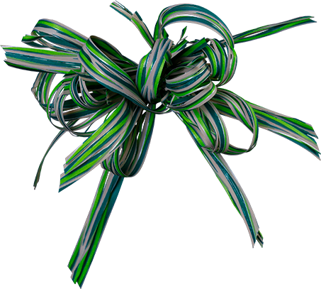 Crinum (453x407), Png Download