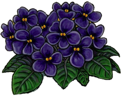 Winston-salem Alumnae Chapter - African Violet Delta Sigma Theta (399x314), Png Download