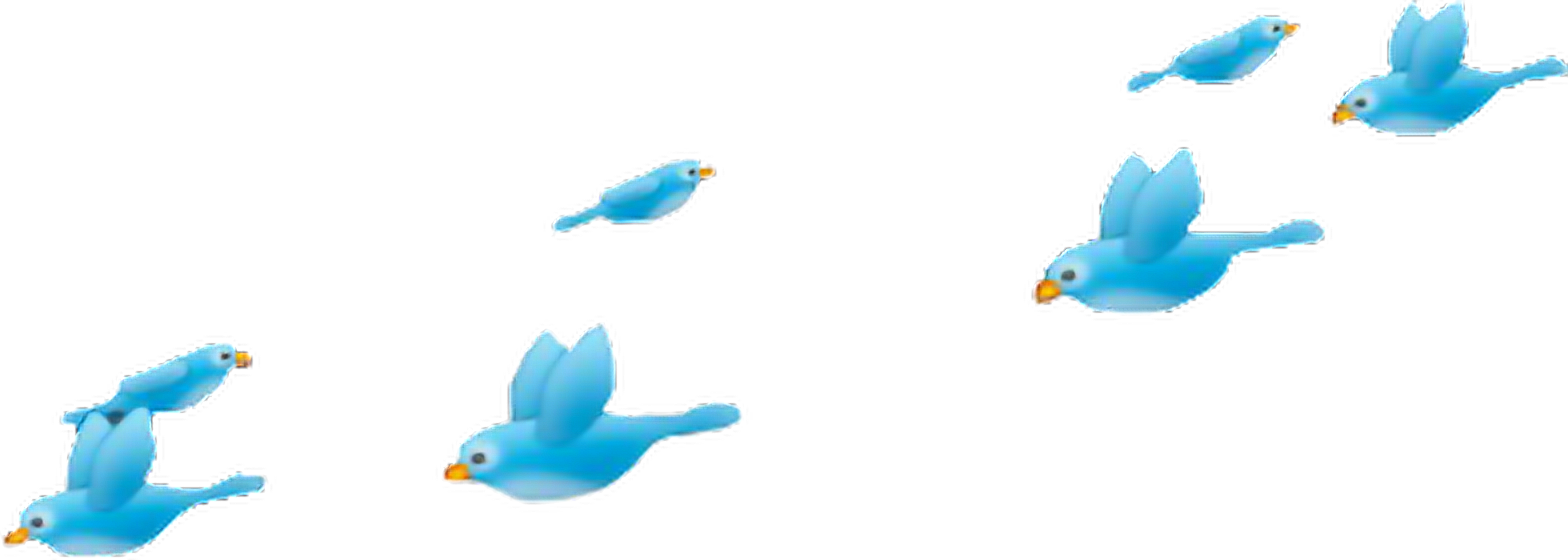 Report Abuse - Blue Bird Crown Png (1568x560), Png Download