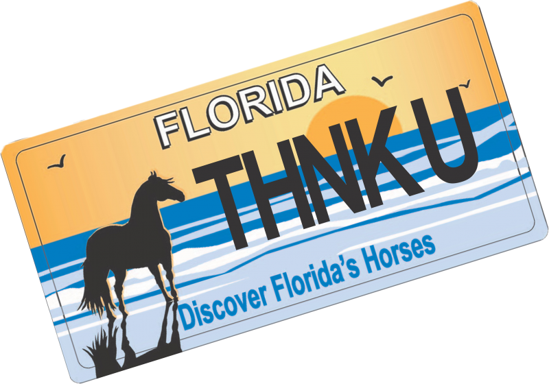 Florida Horse Plate - Florida (800x560), Png Download