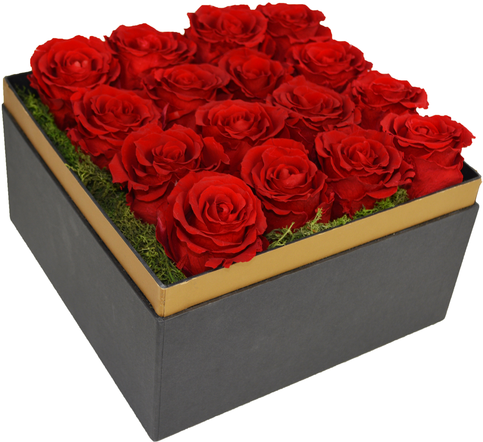 Beautifully Preserved Roses From Luxe Bloom Official - Luxe Bloom Single Lasting Luxury Rose Rosa (2048x1733), Png Download