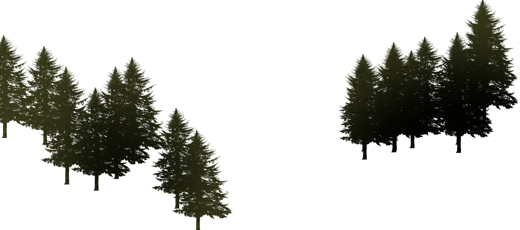 Land Pinos 01 - Stormy Night - Rectangle Necklace - Tree Jewelry (1782x790), Png Download
