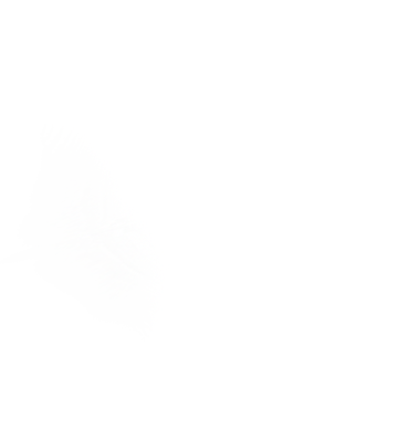 Tttt3 - Transparent Png Shine Png (379x388), Png Download