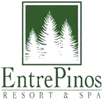 Hotel Entre Pinos - Christmas Tree (604x404), Png Download