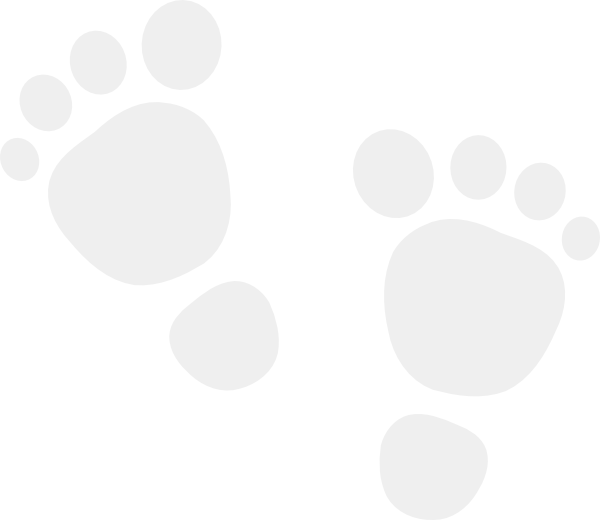 Baby Foot Grey - Downunder Thunder Pants Bib (600x520), Png Download
