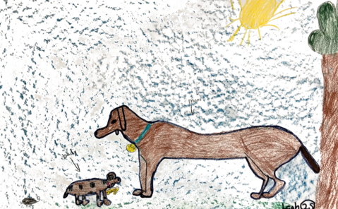 Hunting Dog (479x296), Png Download