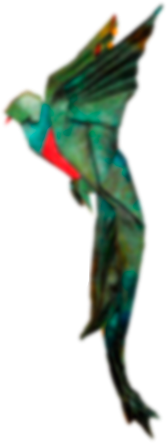 Home - Quetzal En Manualidades (330x874), Png Download