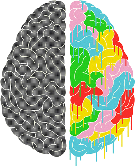 Math Transparent Picture Free Download Clip Art Free - Brain Halves (500x707), Png Download