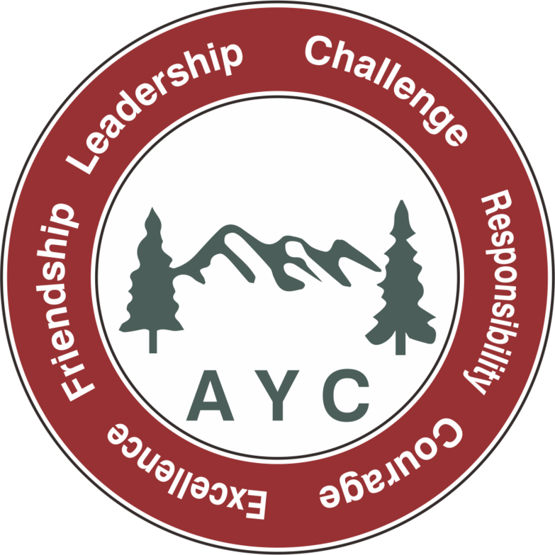 College Insight And Leadership Development At The Crimson - Winter (783x784), Png Download