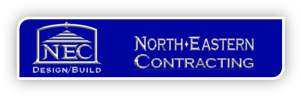 Nec Logo Test - Oval (608x208), Png Download