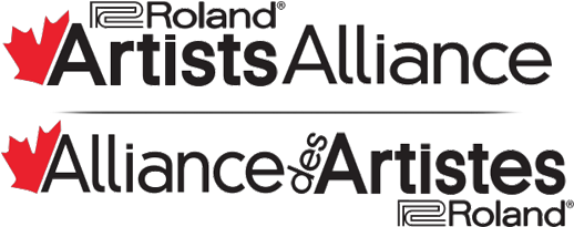 Artists Alliance Application - Roland Td 11k V-drum V-compact Set (623x250), Png Download