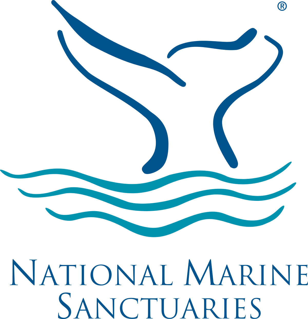 Noaa Office Of National Marine Sanctuaries - Monterey Bay National Marine Sanctuary Logo (1200x1245), Png Download