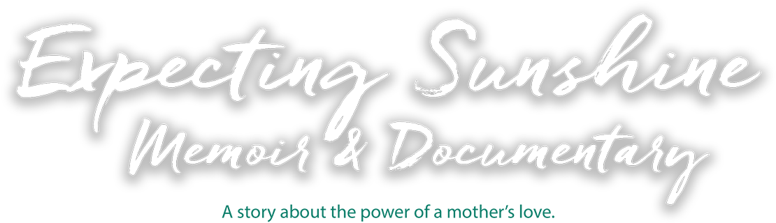 Indiegogo Crowdfunding Update - Alexis Marie Chute (1150x402), Png Download